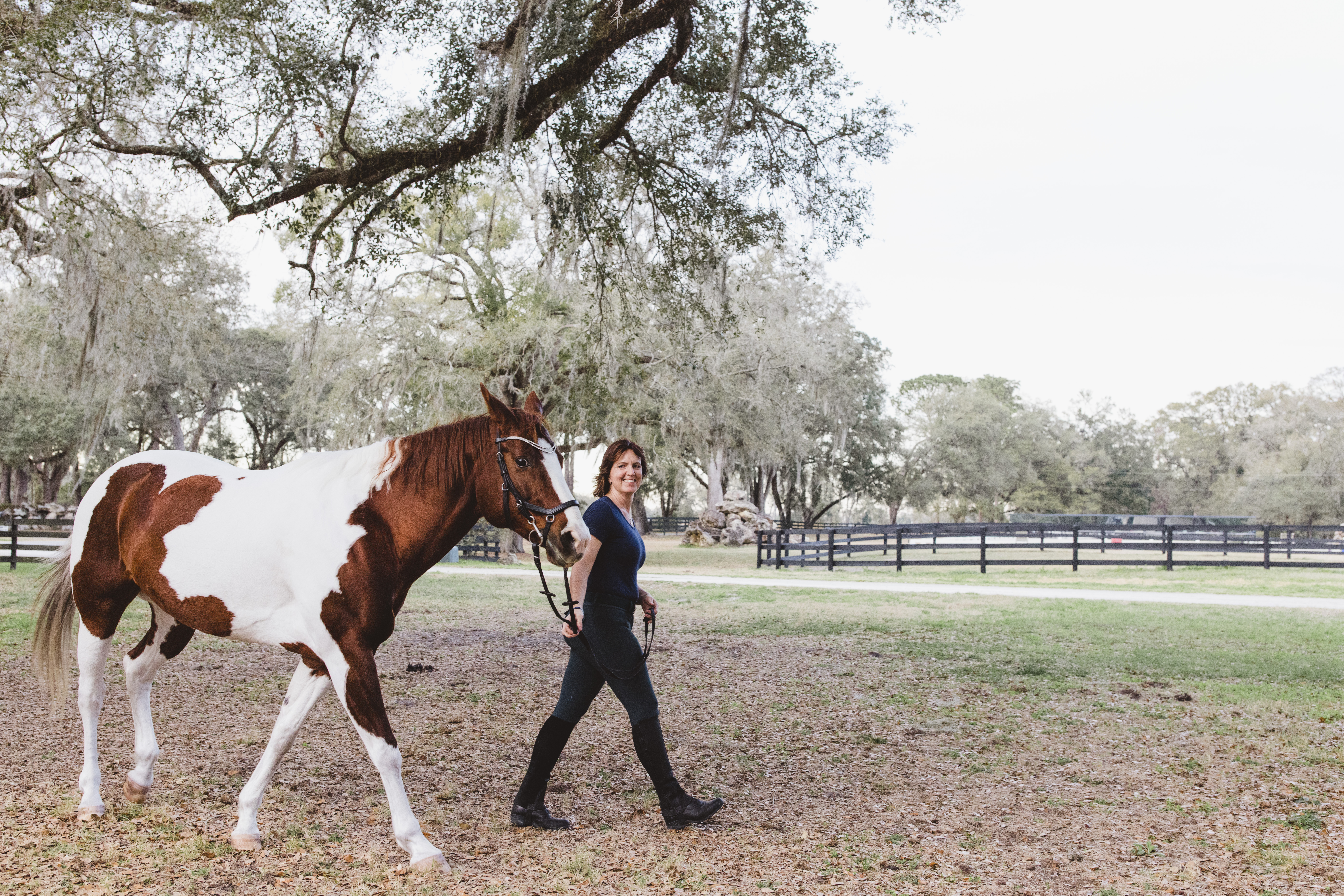 Equestrian photography in Ocala Florida